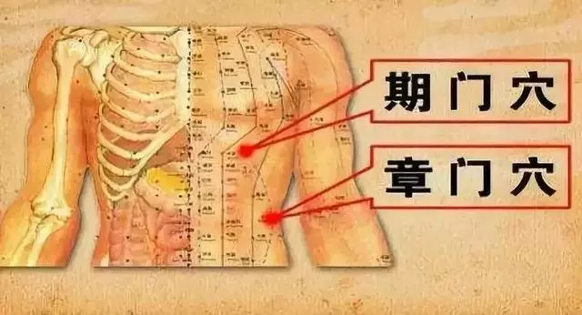 10個補氣常用穴位和10個補血常用穴位,收好