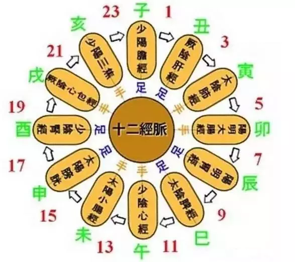 「三分調、七分養」 ,看完後再也不敢熬夜!告訴身邊的人!
