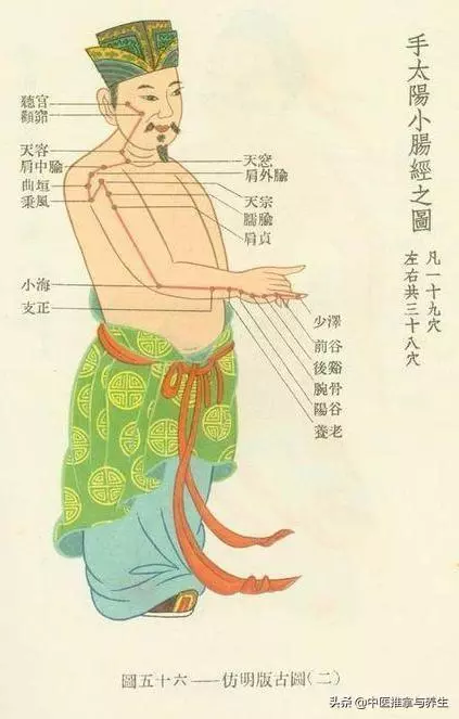 經絡 | 要想肩頸好,小腸經疏通不能少,這三個穴位最容易堵塞!
