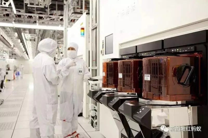 新加坡第一季裁員人數增至3230人,「這些」都是高危群體!