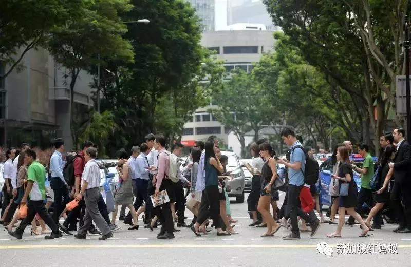 新加坡第一季裁員人數增至3230人,「這些」都是高危群體!