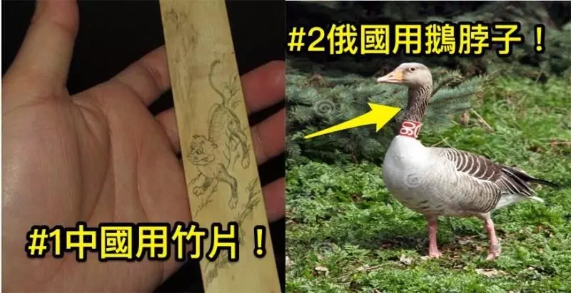 5個讓我們來探討下古時候中國各個朝代、其他國家的皇室貴族們都用什麼擦屁屁的工具