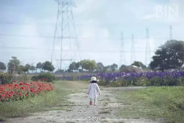 他花4年時間為女兒拍幾萬張照片,撩到汪涵還登上《英國郵報》