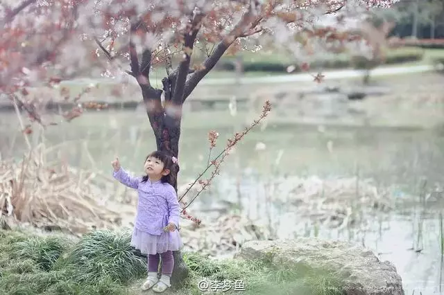 他花4年時間為女兒拍幾萬張照片,撩到汪涵還登上《英國郵報》