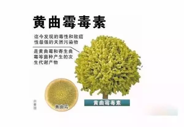 別看它不起眼,砧板也有「危險性」!