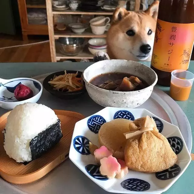 最慘陪吃柴犬君火爆Ins!網友看完哭笑不得:求求你給牠吃一口吧