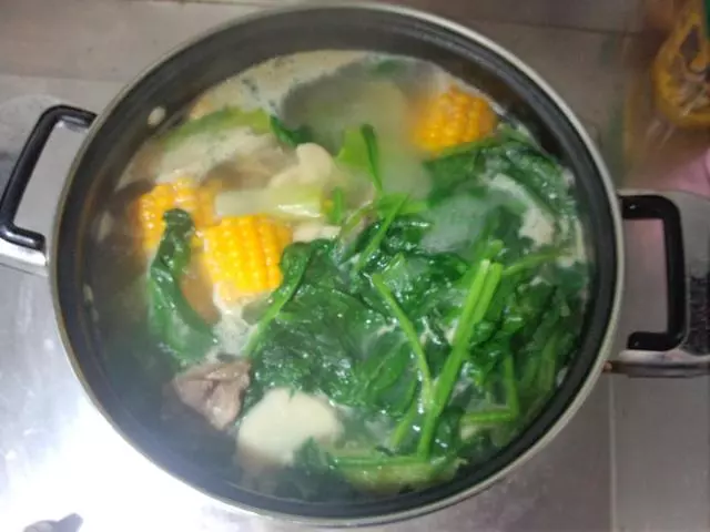 夏天煲湯必會的16種做法,清熱祛濕,看完保你口水直流!試試吧