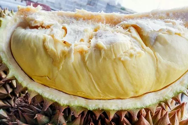 全世界「最貴的」水果!吃一個要一年工資,就算「馬雲」都Hold不住!