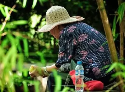 醫生:久咳不愈要警惕,咳嗽超過一個星期,就有可能是這5種疾病
