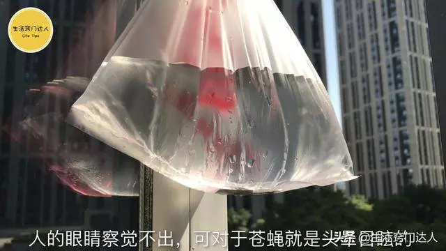 硬幣放在窗邊,作用厲害了,解決了困擾家庭一大煩惱告知身邊人