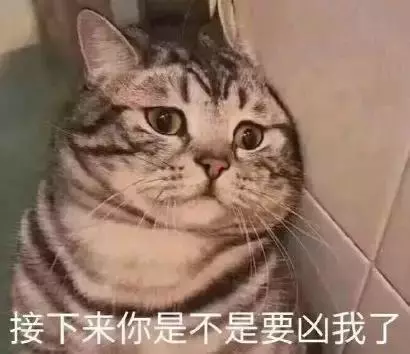 貓咪突然不願意吃飯,連忙帶到醫院檢查,結果卻讓人「大跌眼鏡」