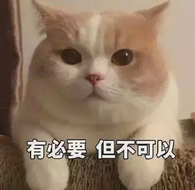 貓咪突然不願意吃飯,連忙帶到醫院檢查,結果卻讓人「大跌眼鏡」