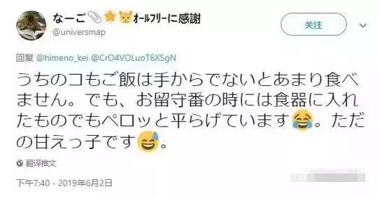 貓咪突然不願意吃飯,連忙帶到醫院檢查,結果卻讓人「大跌眼鏡」