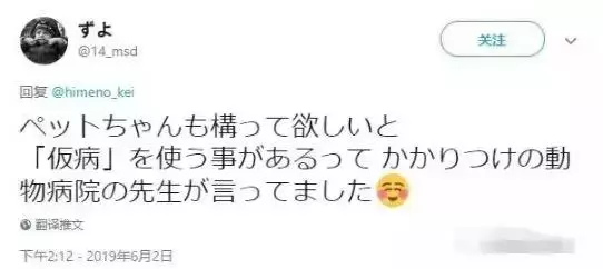貓咪突然不願意吃飯,連忙帶到醫院檢查,結果卻讓人「大跌眼鏡」