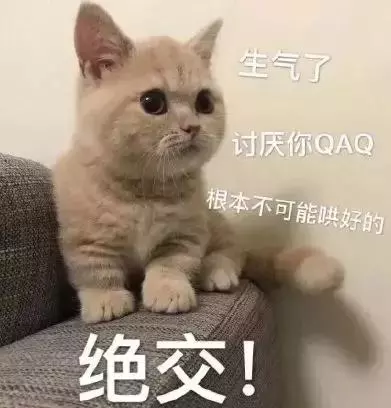貓咪突然不願意吃飯,連忙帶到醫院檢查,結果卻讓人「大跌眼鏡」
