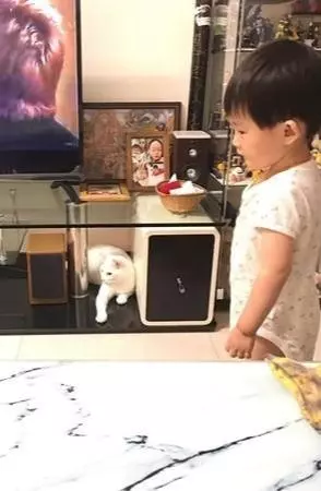 貓咪全職帶娃,有次還不讓主人碰孩子,這孩子你生的嗎?