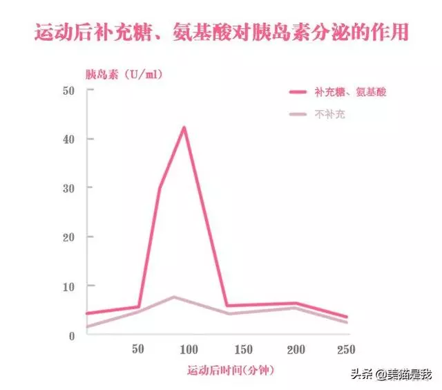 運動後要吃東西,你會越吃越瘦!