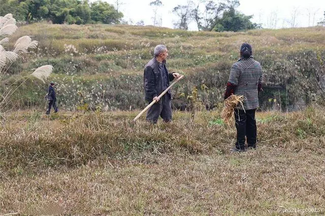 丈夫常年不回家,每月按時往家寄四千,妻子偷偷去城裡找他見真相