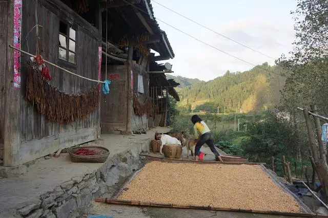 丈夫常年不回家,每月按時往家寄四千,妻子偷偷去城裡找他見真相
