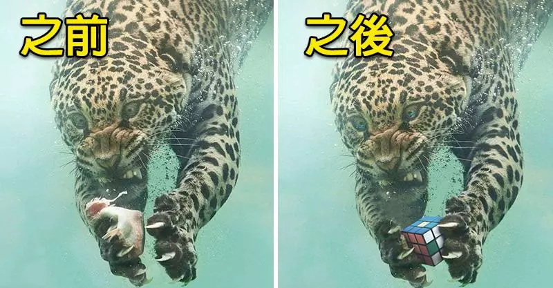 20張「差點騙了全世界」的驚人PS照片 櫻花樹上竟然出現哥吉拉!