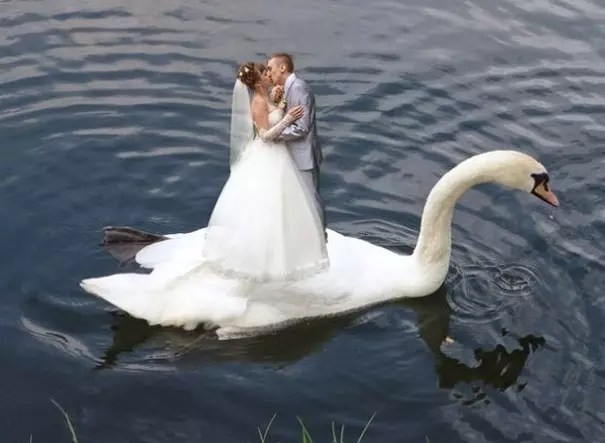 俄羅斯人的幽默好難懂… 30張「非主流過頭」的結婚照