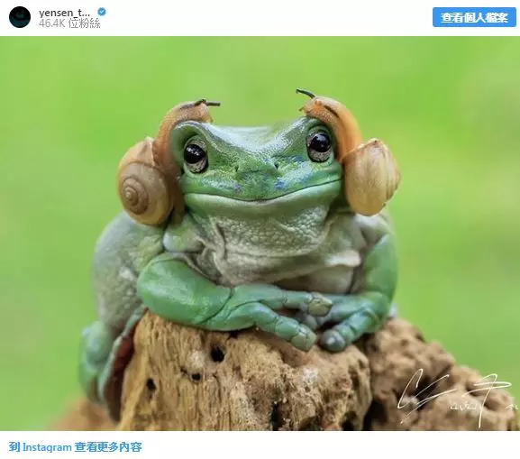 20張證明「大自然比漫威電影還精采」的精采照 有翅膀的熊真實存在!