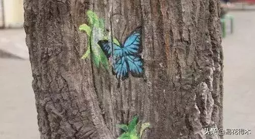 盆景樹樁的孔洞處理手法和鑒賞
