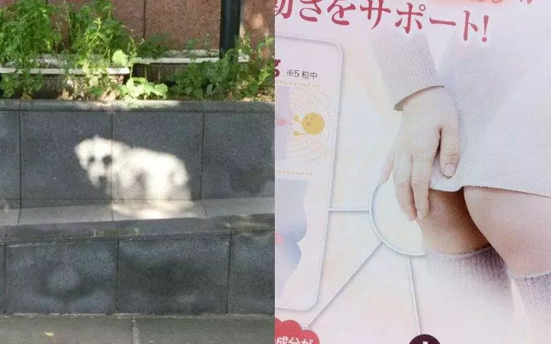 17個日本網友們分享的錯認經驗,看看你會不會也中招吧!