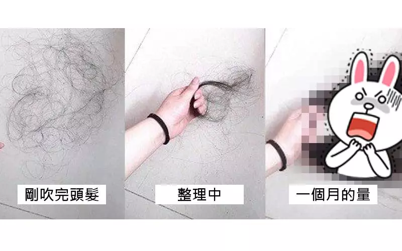 只有女生才能懂!女網友搜集「每天掉的頭髮」,1個月後「超誇張髮量」讓她超崩潰:這是真的