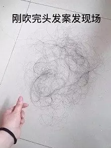 只有女生才能懂!女網友搜集「每天掉的頭髮」,1個月後「超誇張髮量」讓她超崩潰:這是真的