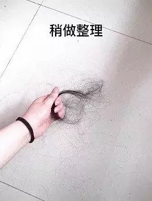 只有女生才能懂!女網友搜集「每天掉的頭髮」,1個月後「超誇張髮量」讓她超崩潰:這是真的