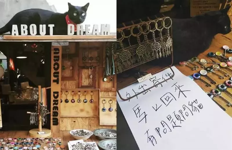 老闆有事外出「留貓咪擔任一日店長」 牠推「購物送合影」衝業績