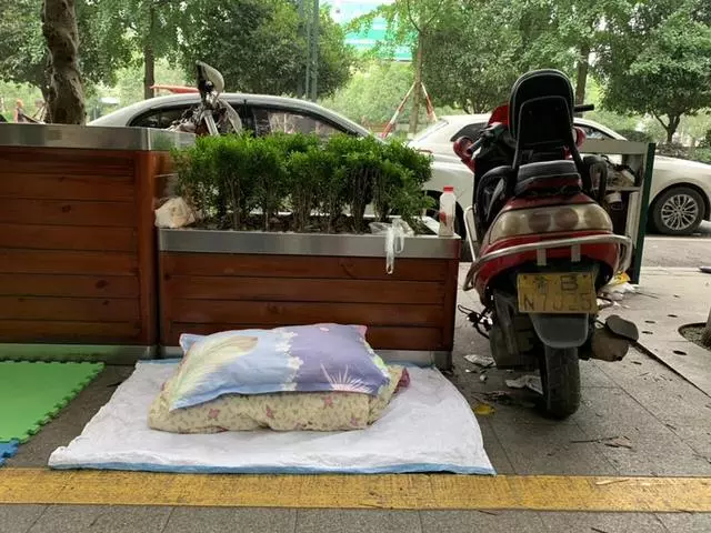 直擊長寧地震:逃生中抱出狗狗母子7條,塌房中救出陌生孩子