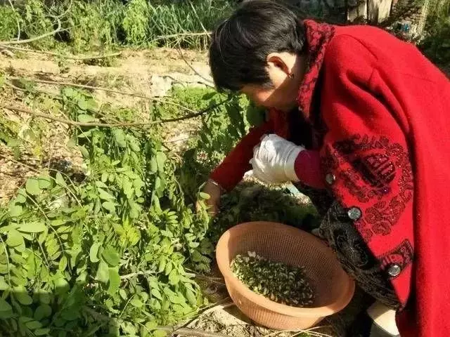 我哄孫子,兒媳先吃飯,等我去吃飯,看到桌上的飯菜,我淚流滿面