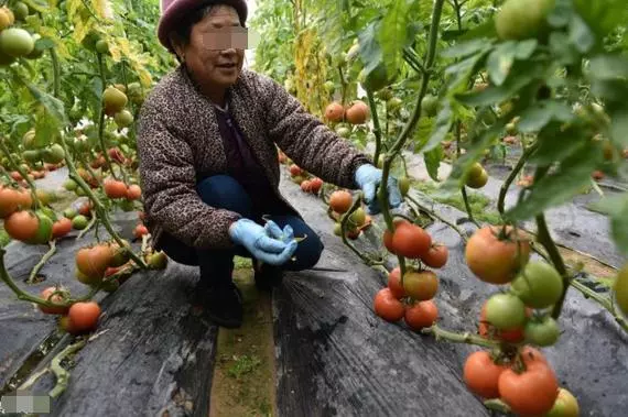 新婚串門哥嫂不正眼瞧,三年後求助,婆婆說不借錢給白眼狼