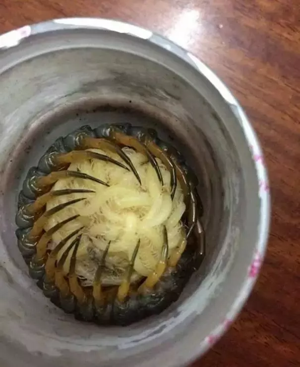 31張可能會讓你引起不適的超詭異照片!看完後頭皮發麻了!