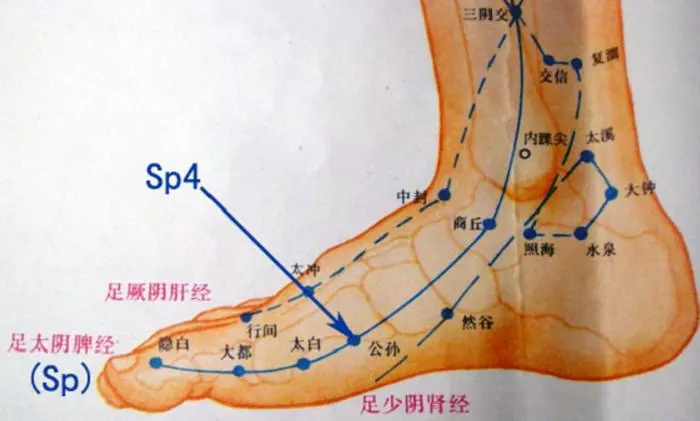 「祛濕」神招!「兩穴位」一按濕氣全跑光,水腫、肥胖、「眼袋」自動消失|