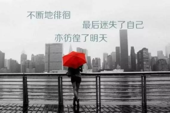有一種愛明明不可能,偏偏讓人愛到無法自拔