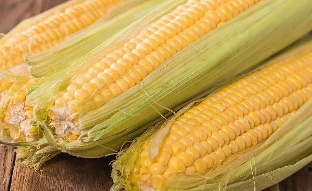過午不食到底能不能瘦身?或許你之前都理解錯了,儘早明白才好