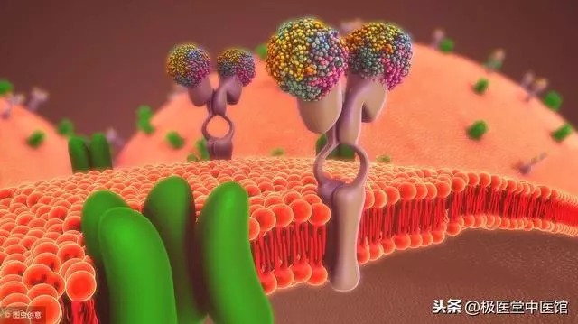 「斷糖」飲食遠離肥胖,斷糖三天一定會變瘦!