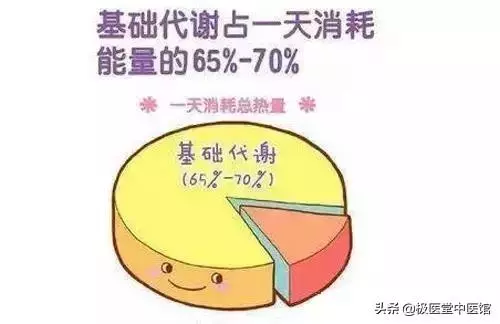「斷糖」飲食遠離肥胖,斷糖三天一定會變瘦!