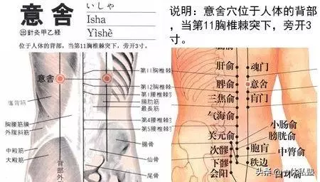 九個控糖穴,值得收藏