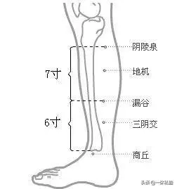 九個控糖穴,值得收藏