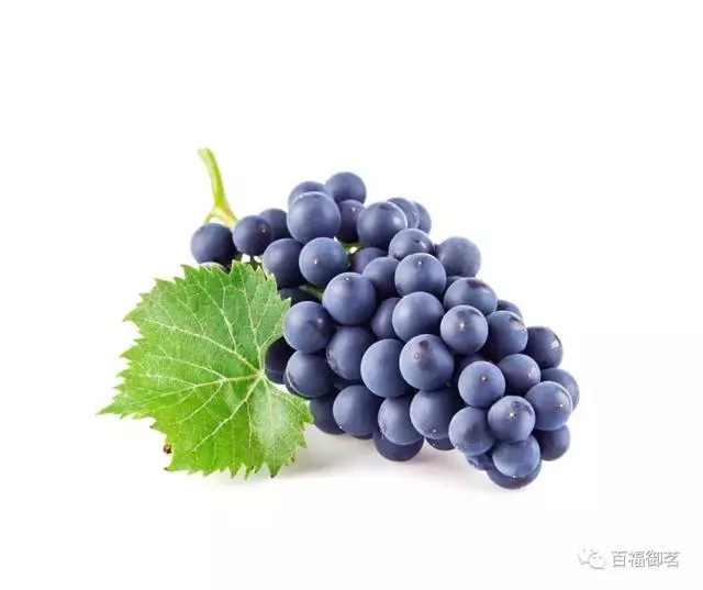 水果養生 不同水果的養生小常識