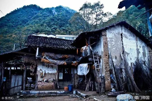 哥哥讓妹妹跟了貧窮的爸爸,長大後妹妹過上了別墅豪車的日子