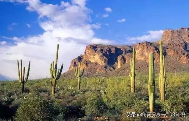 33個國外旅遊禁忌冷知識,你聽過多少個