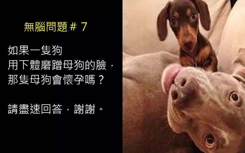 8個在問答網站上的「超無腦問題」,看完後你會為這些提問者的人生感到擔心。