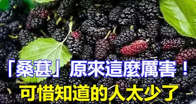 「桑葚」原來這麼厲害!可惜知道的人太少了!