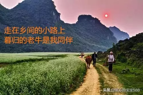 憑一首歌紅了40年!52歲去世海葬澎湖灣,留下了讓人不滅的回憶
