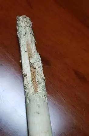 李麗珍獨家講述潘源良再婚,自嘲好傻,遍體鱗傷,53歲重新出發